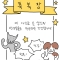 대표 사진