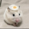 대표 사진