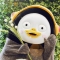 대표 사진