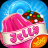 대표 사진