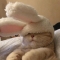 대표 사진