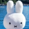 대표 사진