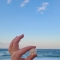 대표 사진