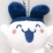 대표 사진