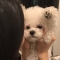 대표 사진