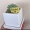 대표 사진