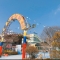 대표 사진