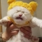 대표 사진