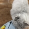 대표 사진