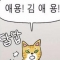 대표 사진