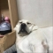 대표 사진