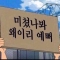 대표 사진
