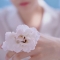 대표 사진