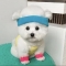 대표 사진