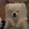 대표 사진