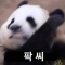 대표 사진
