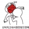 대표 사진