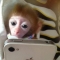 대표 사진