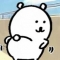 대표 사진