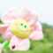 대표 사진