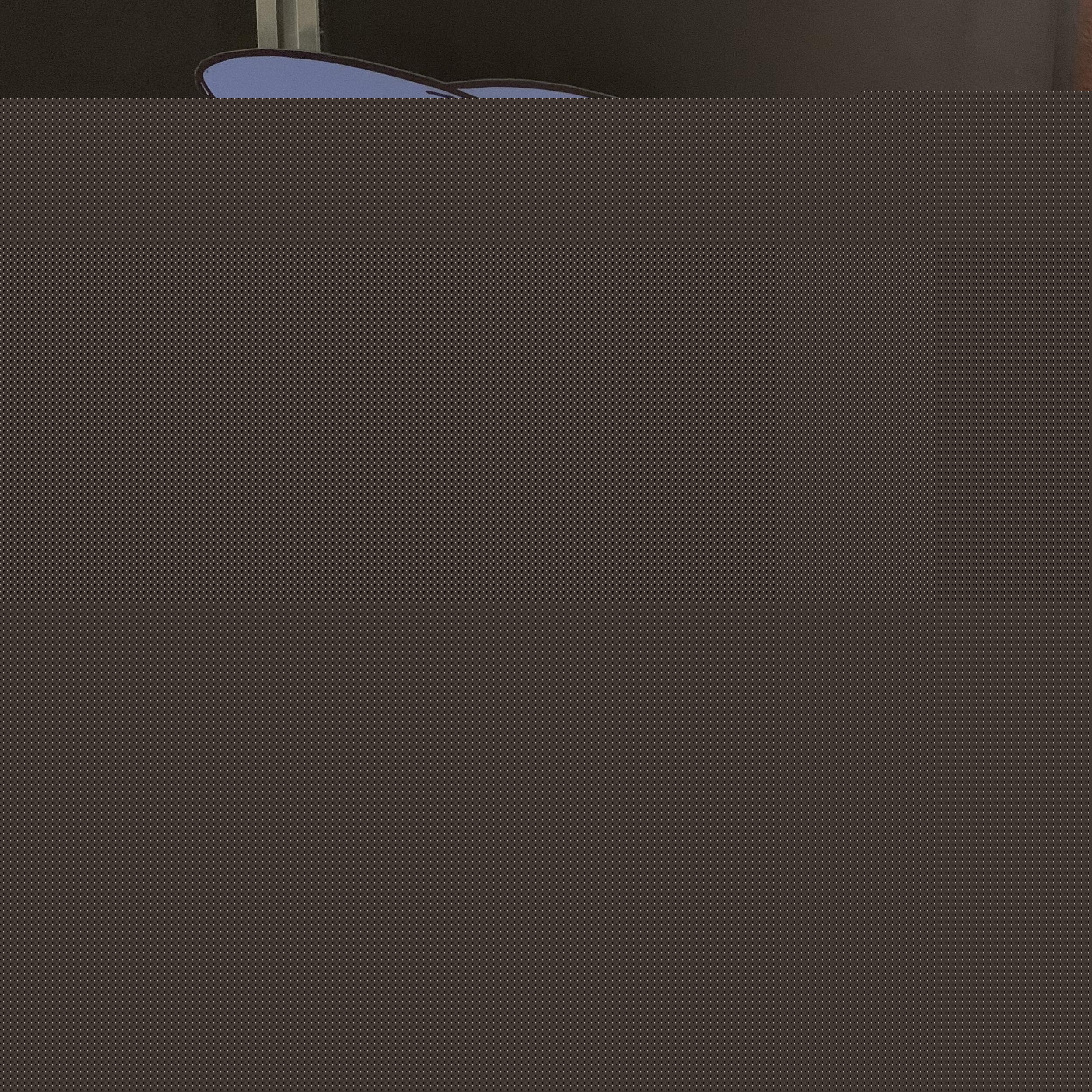 대표 사진