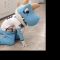 대표 사진