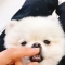 대표 사진
