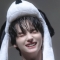 대표 사진