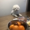 대표 사진