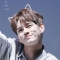 대표 사진