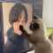 대표 사진