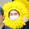 대표 사진