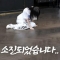 대표 사진