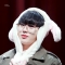 대표 사진