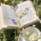 대표 사진