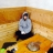 대표 사진