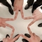 대표 사진