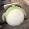 대표 사진