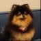 대표 사진