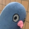 대표 사진