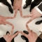 대표 사진