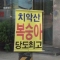 대표 사진