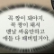 대표 사진