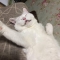 대표 사진