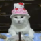 대표 사진