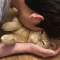 대표 사진