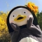 대표 사진