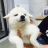 대표 사진