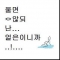 대표 사진