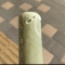 대표 사진